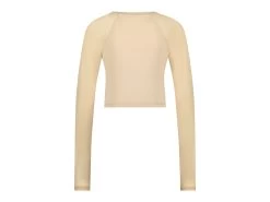 Ishape Mesh Top CAMEL -Steve Madden MESHLONGSLEEVEBEIGE back