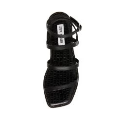 Steve Madden Superbly Sandal BLACK -Steve Madden SM11002371 02002 001 05