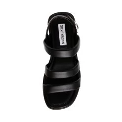 Steve Madden Conduct Sandal BLACK -Steve Madden SM11002372 02002 001 05