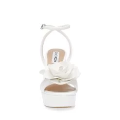 Steve Madden Lessa-F Sandal WHITE -Steve Madden SM11002552 02002 002 05