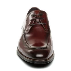 Diogo Lace-up BURGUNDY LEATHER -Steve Madden SM12000513 03001 61A 03